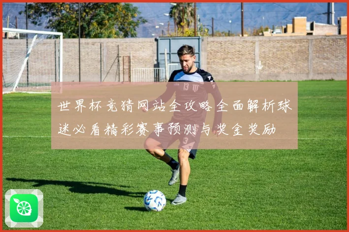 世界杯竞猜网站全攻略全面解析球迷必看精彩赛事预测与奖金奖励