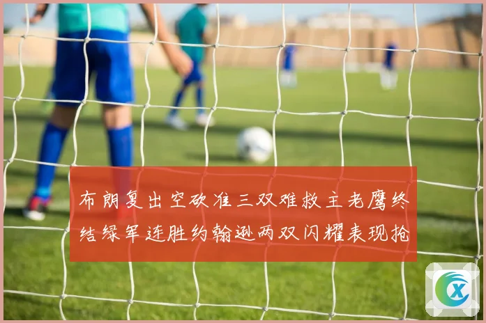 布朗复出空砍准三双难救主老鹰终结绿军连胜约翰逊两双闪耀表现抢眼